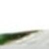 Green Green
