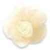 Cream Yellow
