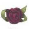Shell Pink