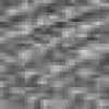 Gray Gray