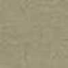 Beige Beige