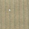 Beige Beige