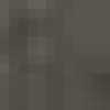 Gray Gray