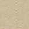 Light Khaki Light Khaki