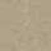 Medium Beige Medium Beige