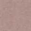 Dawn Pink Dawn Pink