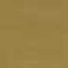 Mustard Mustard
