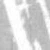 Light Gray Light Gray