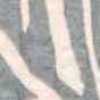 Gray × Pink Gray × Pink