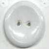 White White