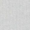 Light Gray Light Gray