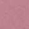 Moss Pink Moss Pink