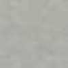 Silver Gray Silver Gray