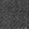 Gray Gray