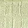 Lime Green Lime Green