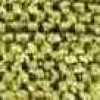 Lime Green Lime Green