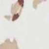 White×Brown White×Brown