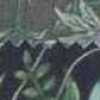 Navy Blue Navy Blue
