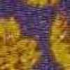 Purple×Yellow