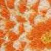 Orange Orange