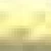 Cream Yellow Cream Yellow