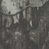 Charcoal Gray