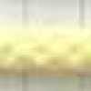Cream Yellow Cream Yellow
