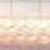 Peach Pink Peach Pink