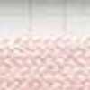 Flamingo Pink Flamingo Pink