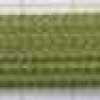 Parrot Green Parrot Green