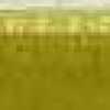 Grass Green Grass Green