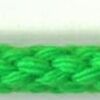 Neon Green Neon Green
