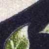 Navy Blue Navy Blue