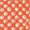 Orange Orange