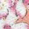 Coral Coral