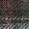 Burgundy X Green Burgundy X Green