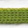 Fresh Green Fresh Green