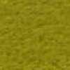 Sage Green Sage Green