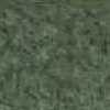 Moss Green Moss Green