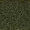Olive Olive