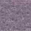 Gull Gray Gull Gray