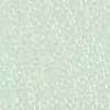 Pale Green Pale Green