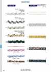 113-117 Sequin Braid Approx. 10mm
