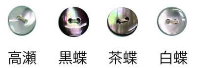 1502 2-hole Rimless Shell Button