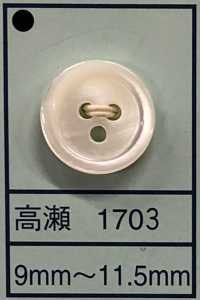 1703 17 Type 3 Shell Button Sub Photo