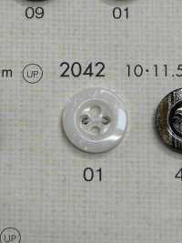 2042 DAIYA BUTTONS Shell-like Polyester Button DAIYA BUTTON(DAIYA BUTTON) Sub Photo