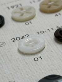 2042 DAIYA BUTTONS Shell-like Polyester Button DAIYA BUTTON(DAIYA BUTTON) Sub Photo