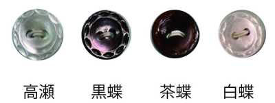 231 2-hole Rimmed Shell Button