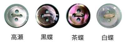 238 Four-hole Shell Button With Rim
