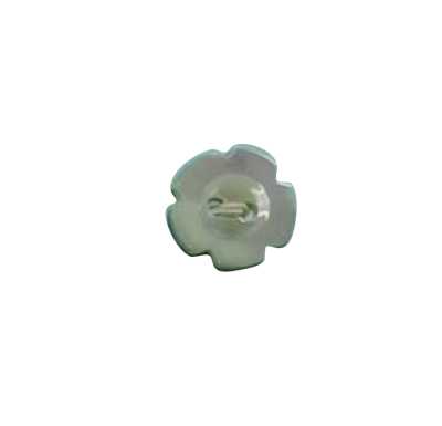 265 2-Hole Shell Button, Takase Shell